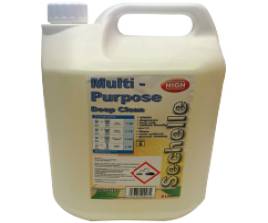 MULTI PURPOSE CLEANER 2X5LTRS